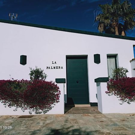 Casa La Palmera - Solo Familias Y Parejas Conil De La Frontera Zewnętrze zdjęcie