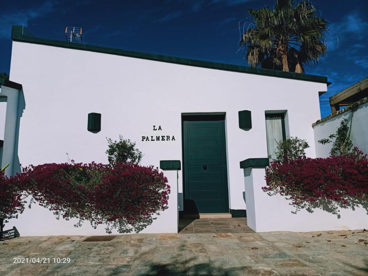Casa La Palmera - Solo Familias Y Parejas Conil De La Frontera Zewnętrze zdjęcie