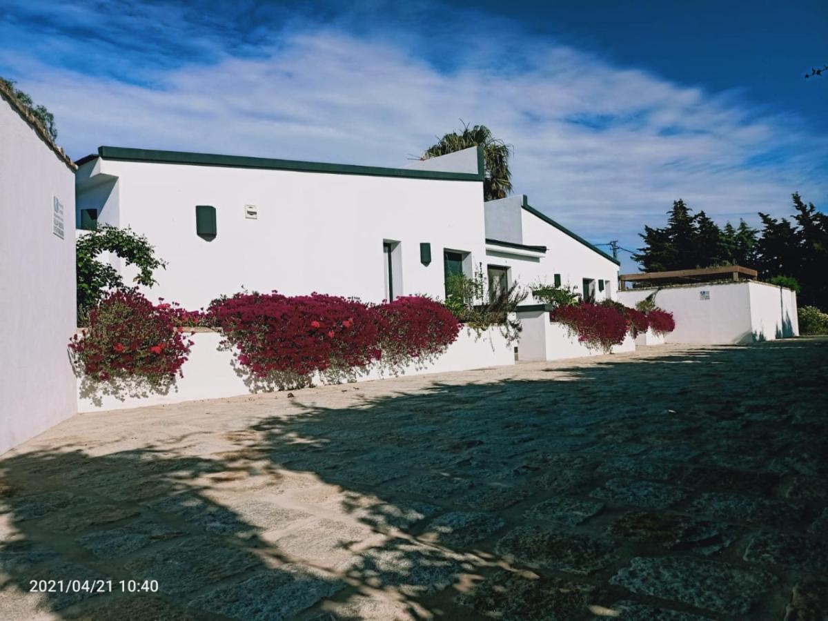 Casa La Palmera - Solo Familias Y Parejas Conil De La Frontera Zewnętrze zdjęcie